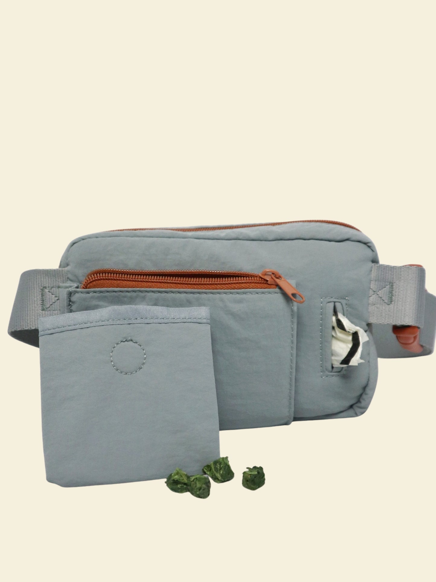 Daily Walking Bag