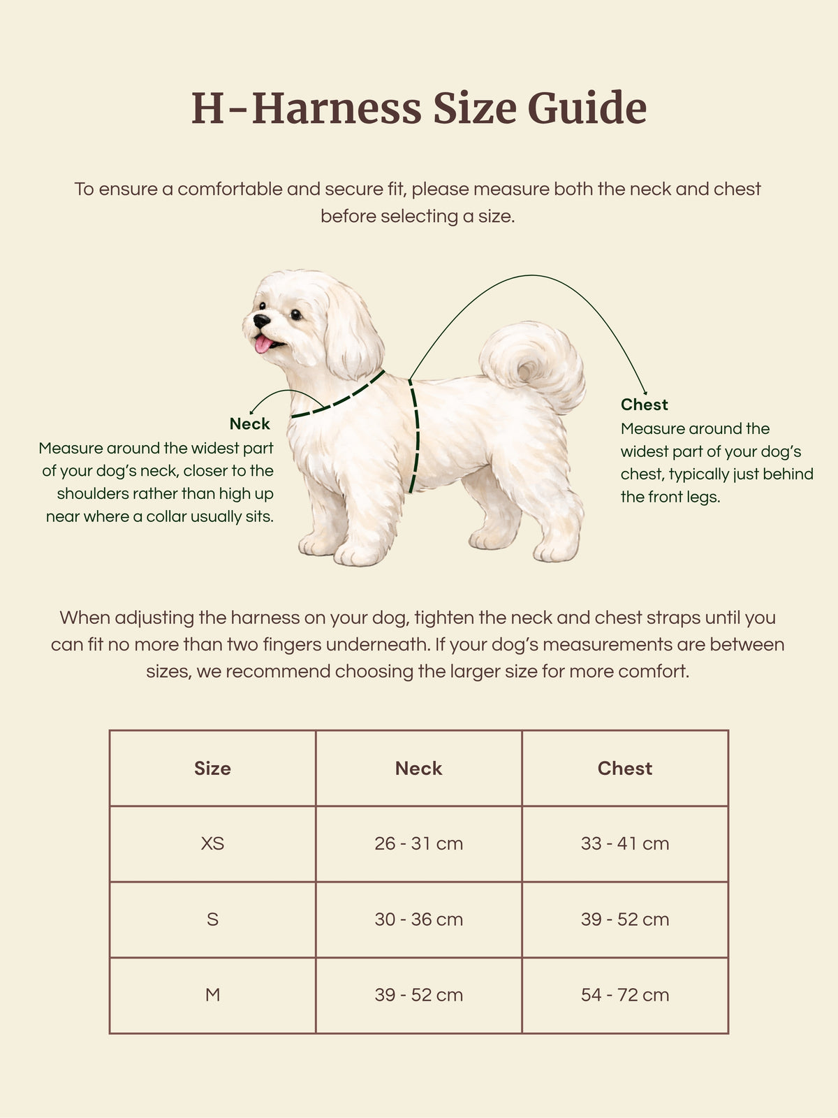 Daily Walking System (H-Harness)