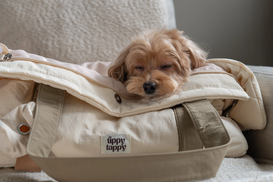 10 Reasons Why You (and Your Pet) Need The Nest Pet Carrier