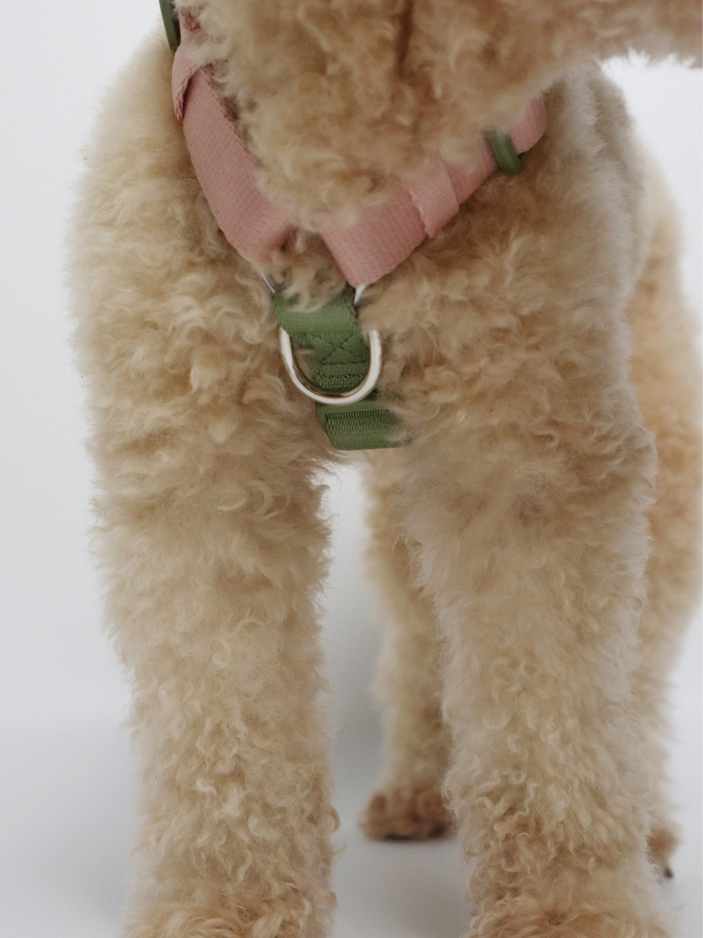 H-Harness