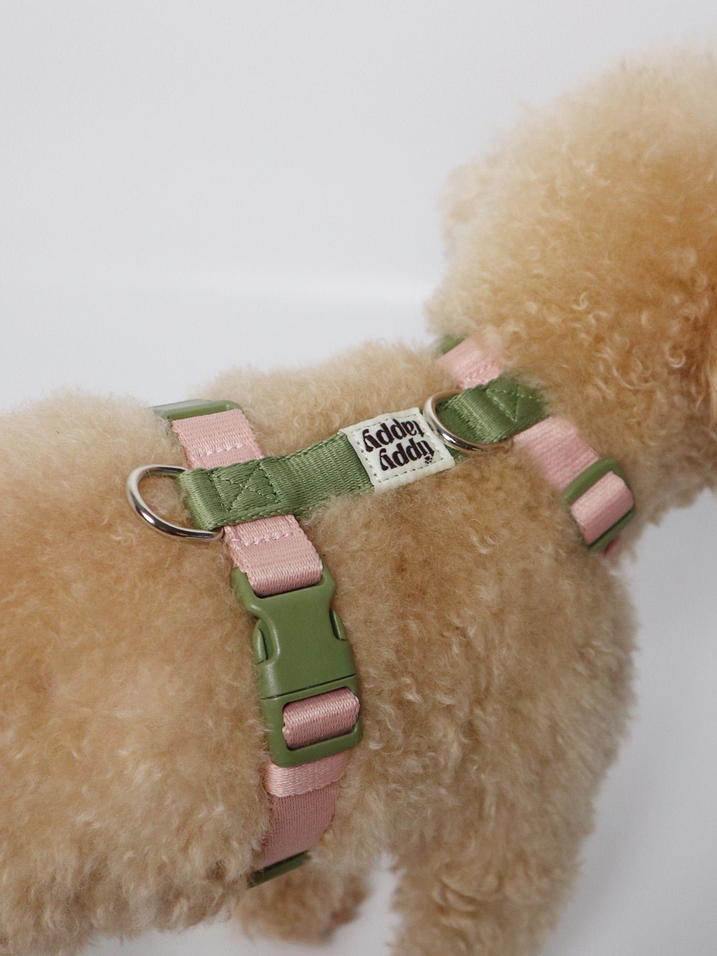 H-Harness