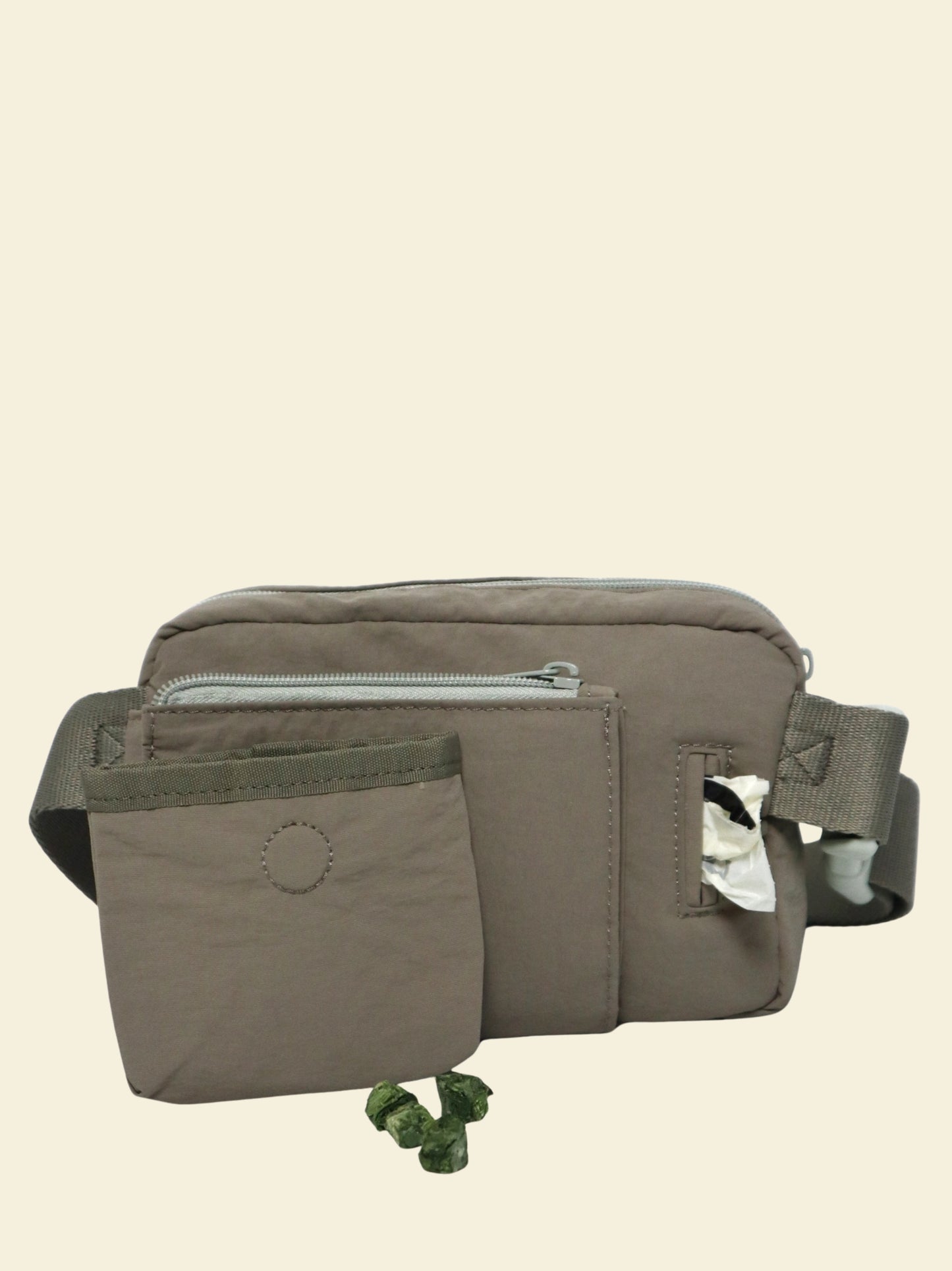 Daily Walking Bag