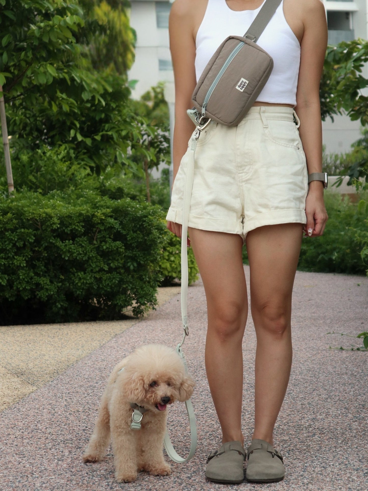 Daily Walking System (H-Harness)
