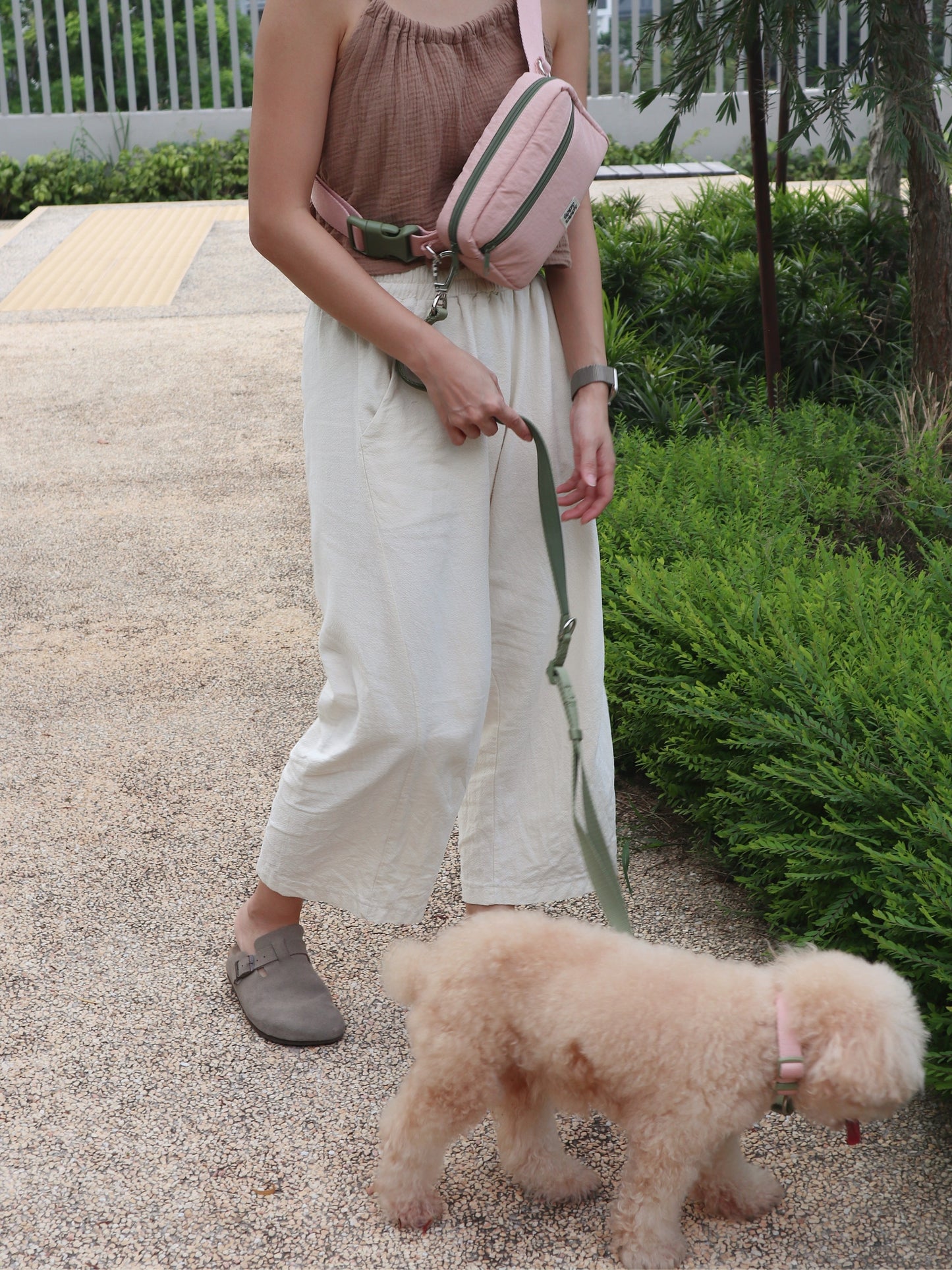 Daily Walking System (Collar)