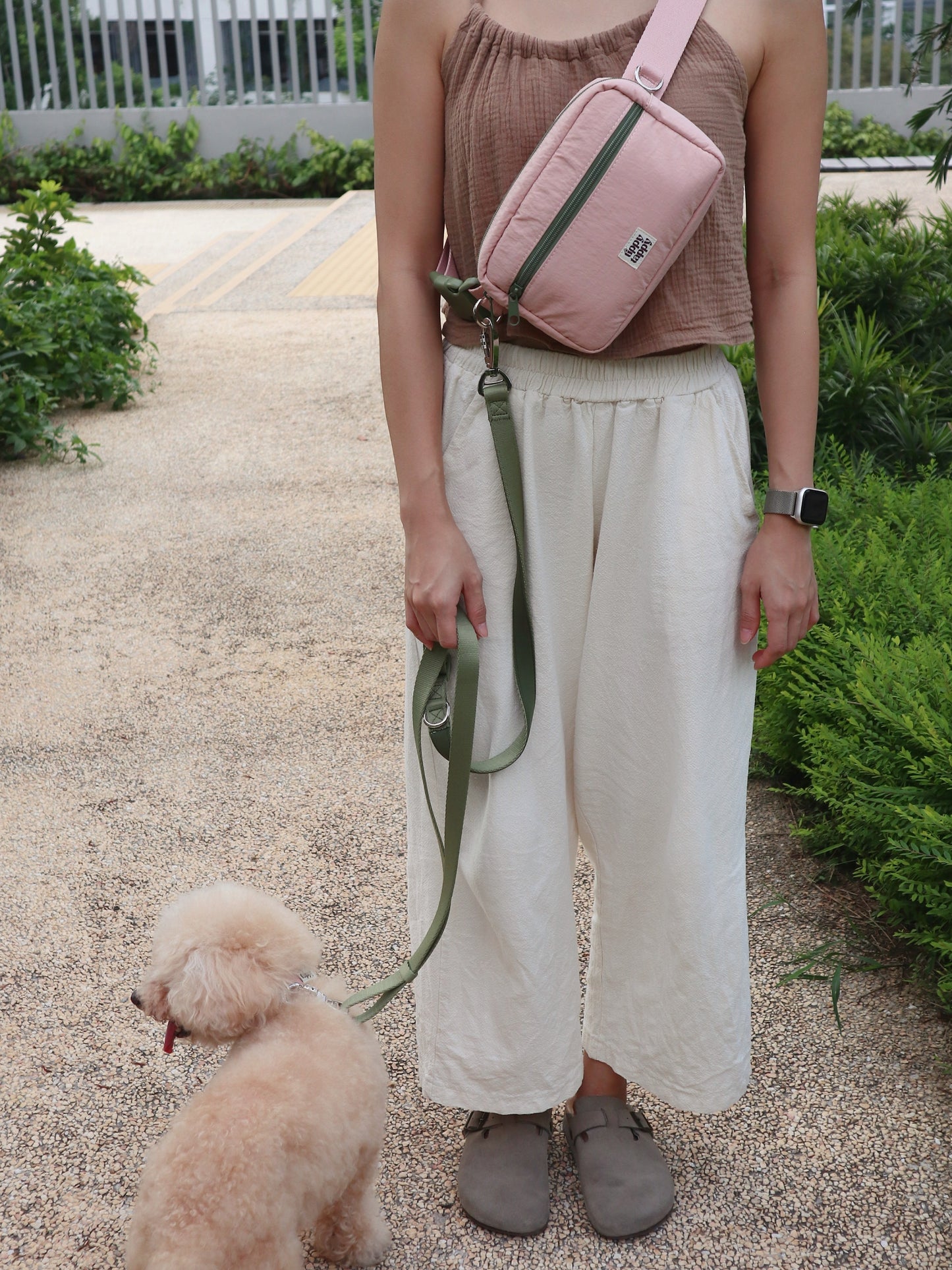 Daily Walking System (Collar)