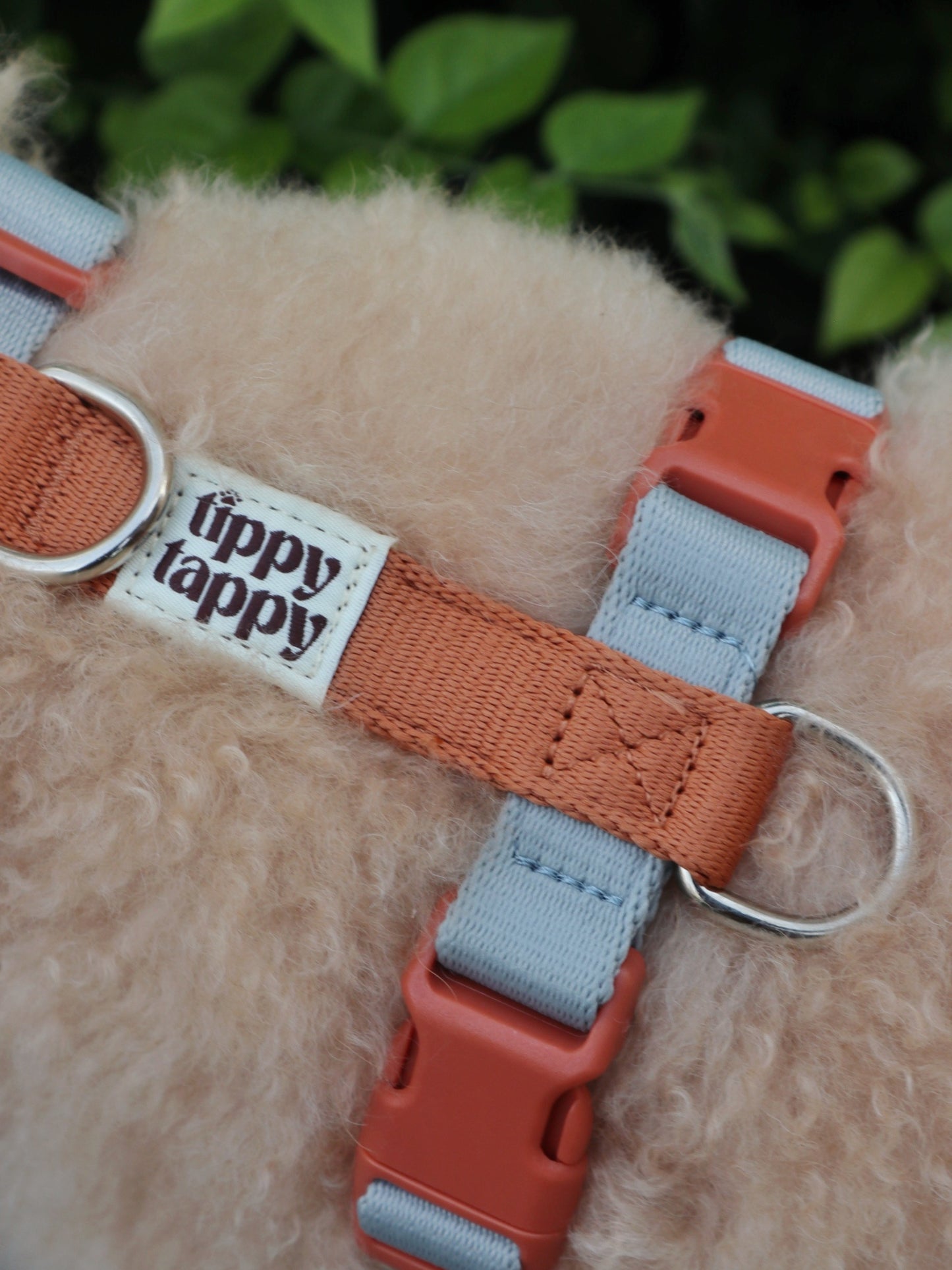 H-Harness