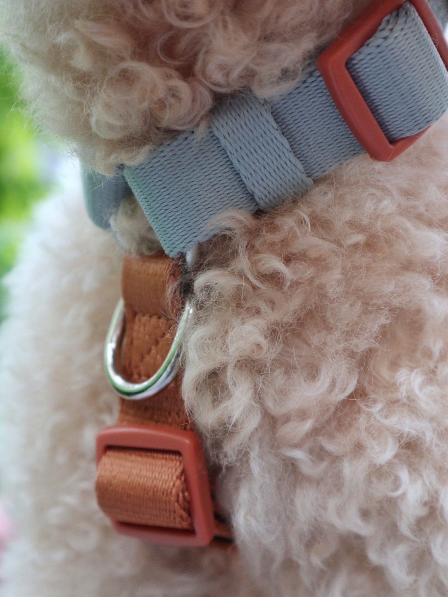 H-Harness