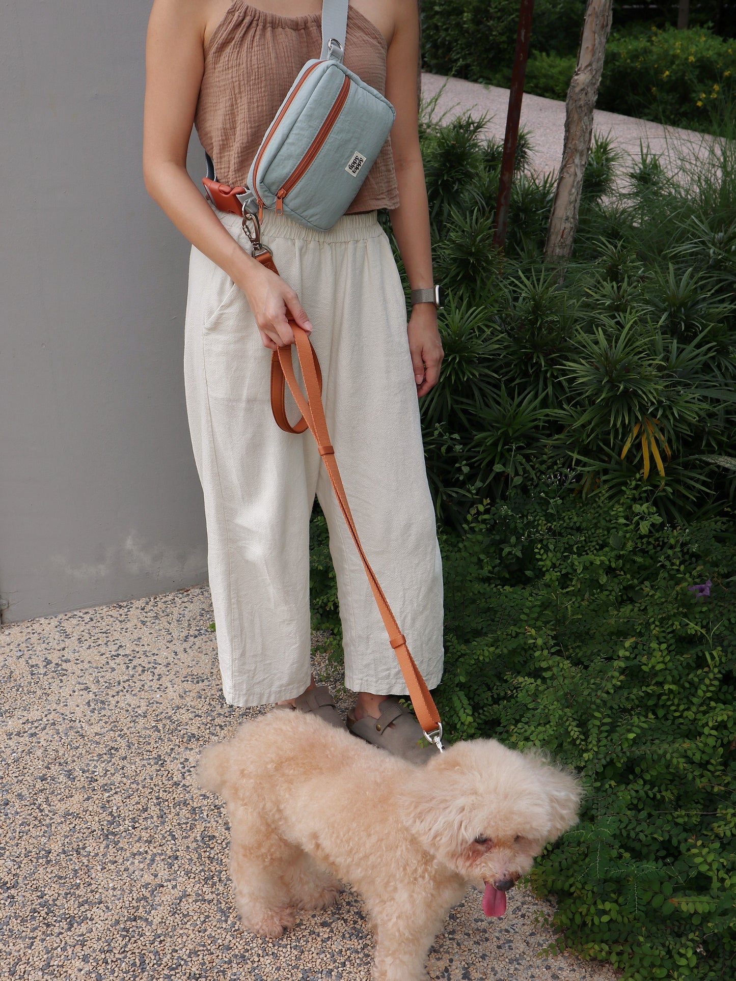 Daily Walking System (Collar)