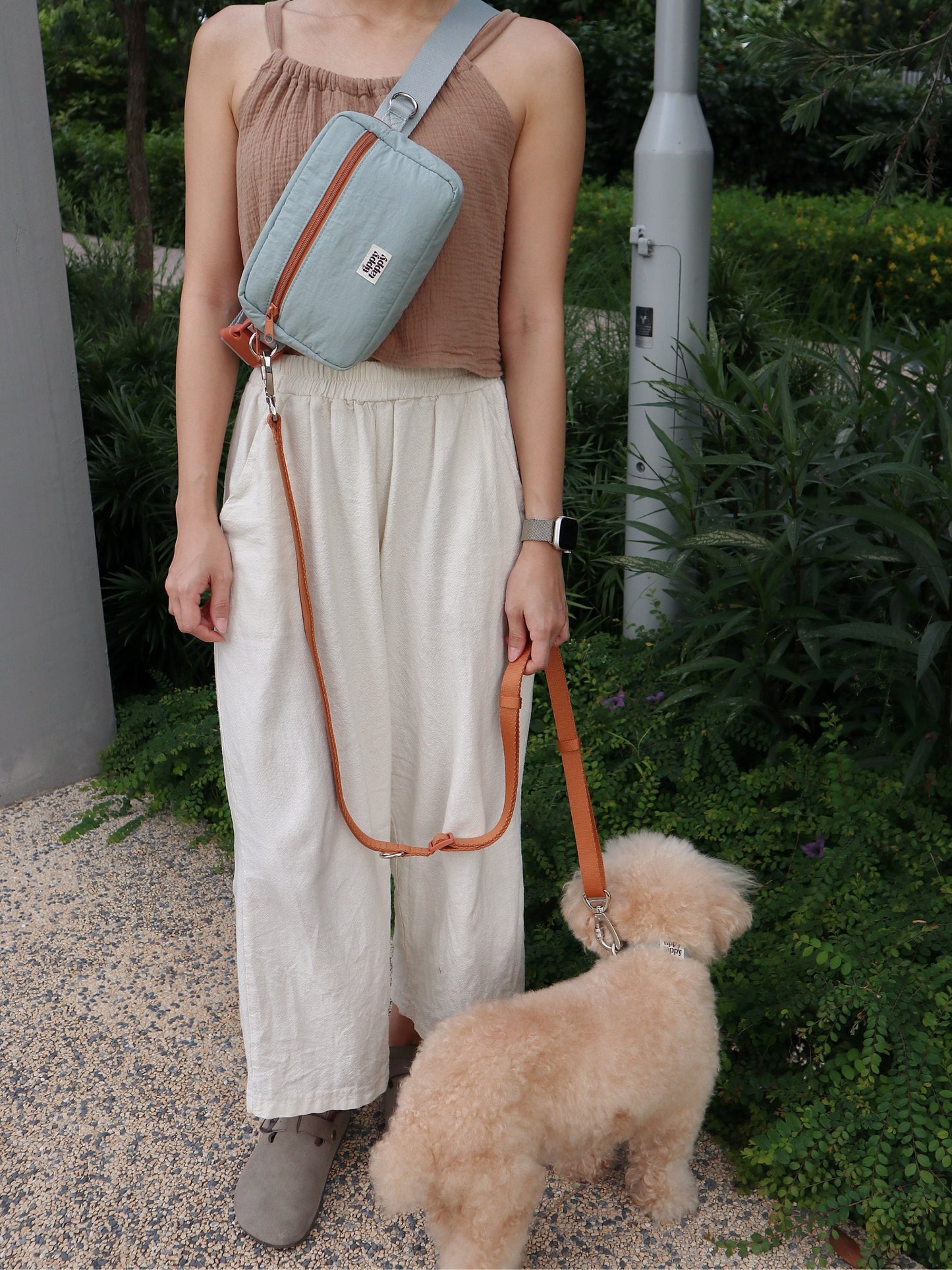 Daily Walking System (Collar)