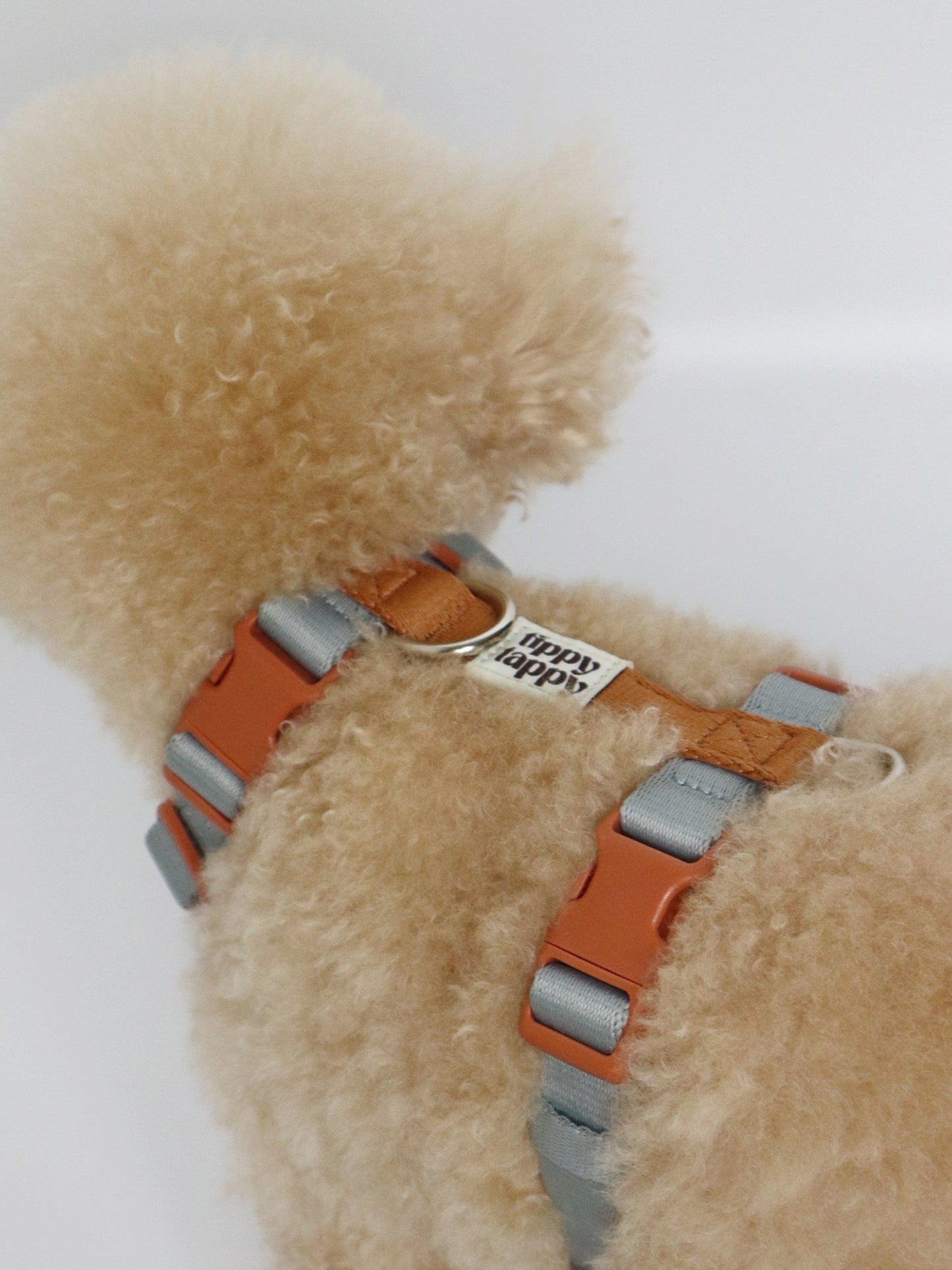 H-Harness