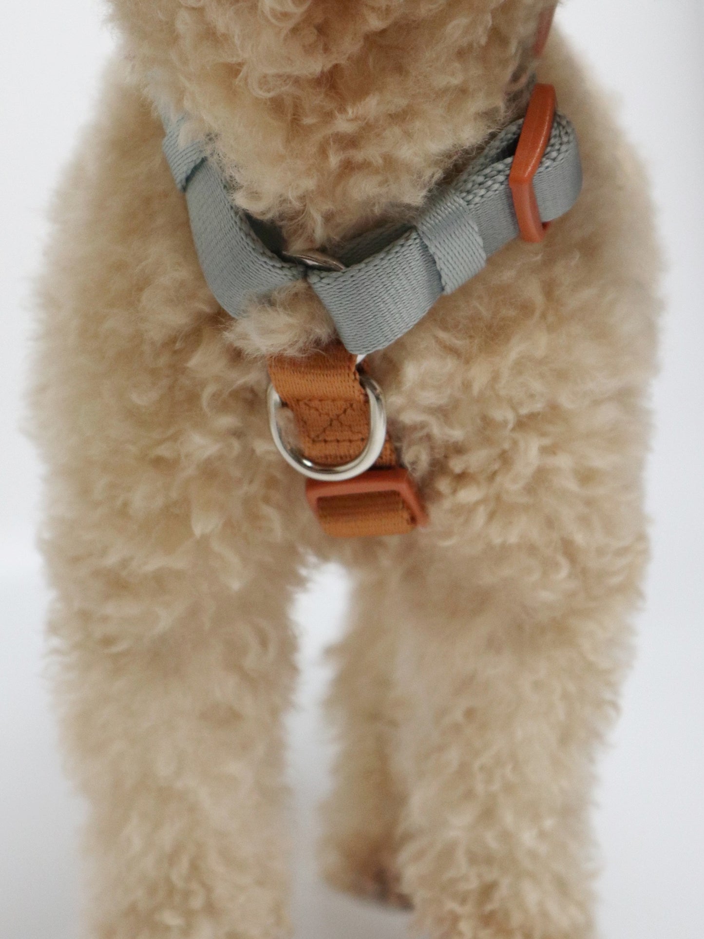 H-Harness