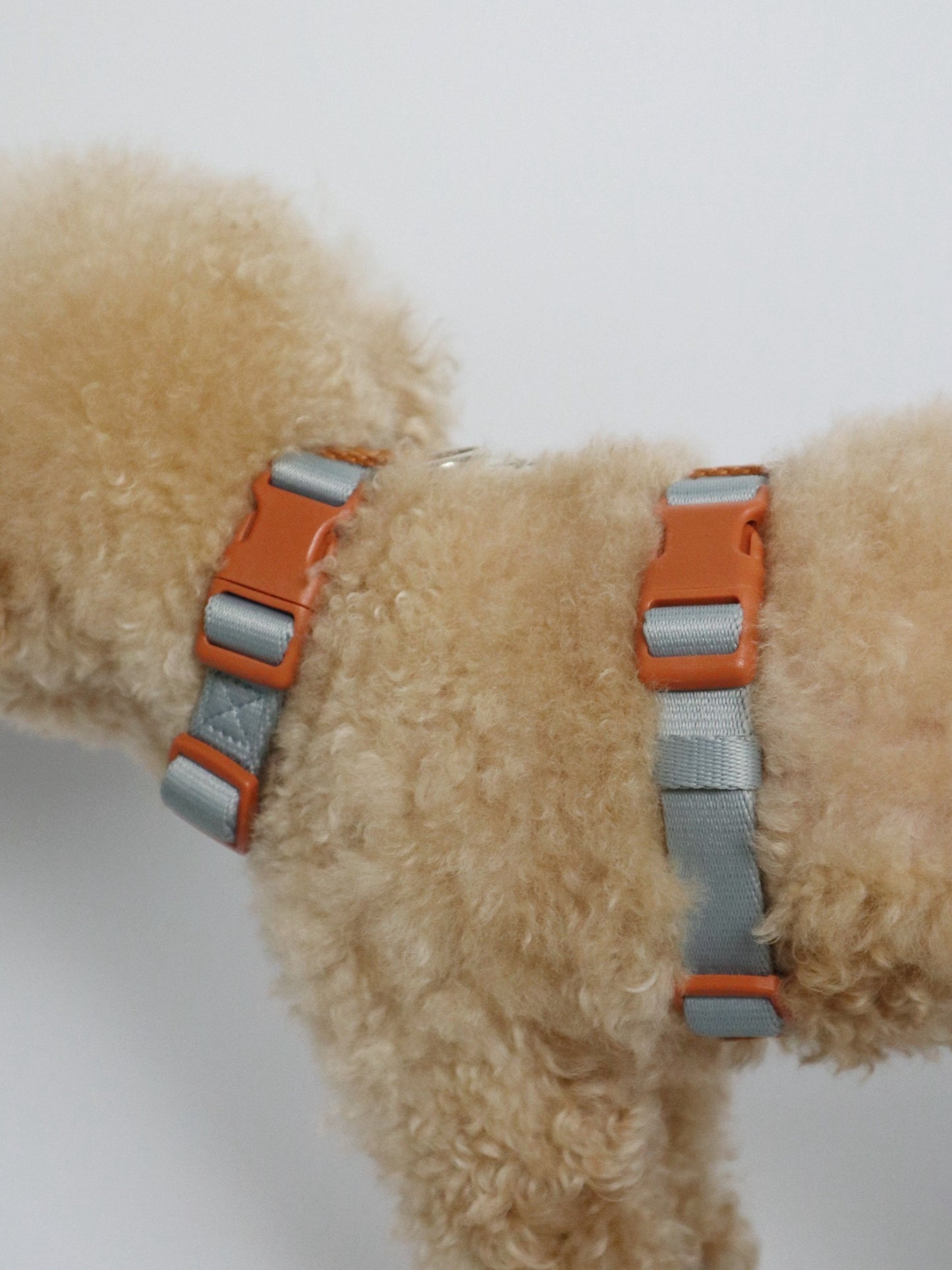 H-Harness