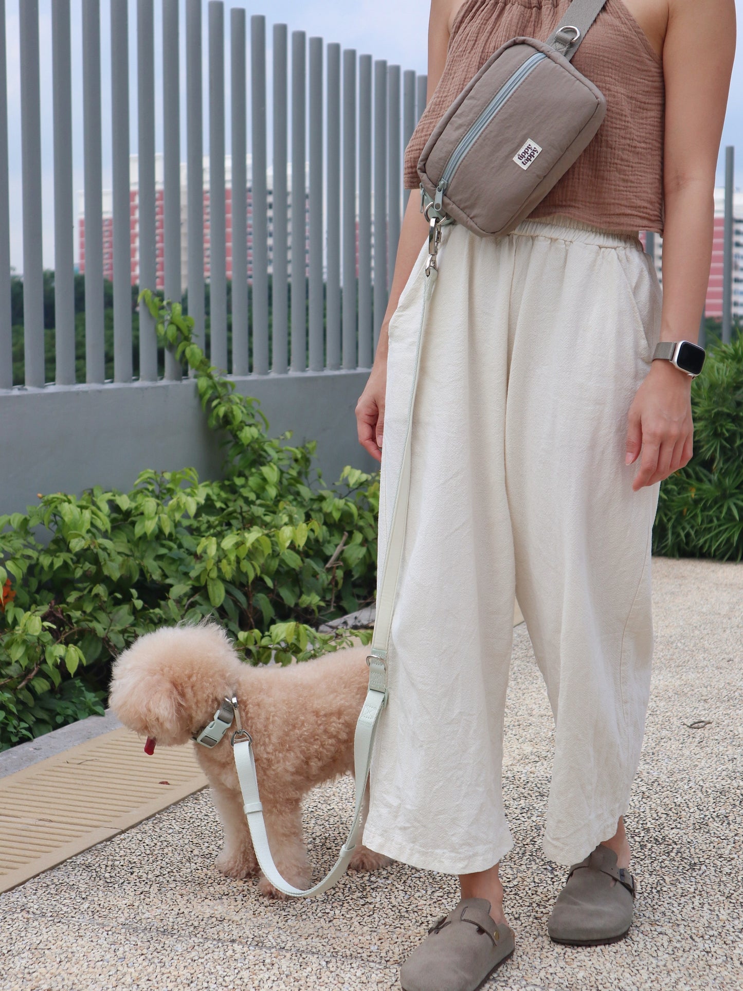 Daily Walking System (Collar)