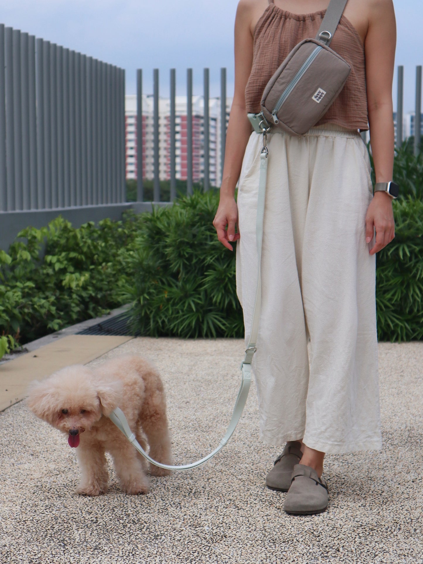 Daily Walking System (Collar)