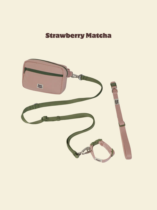 Daily Walking System (Collar)