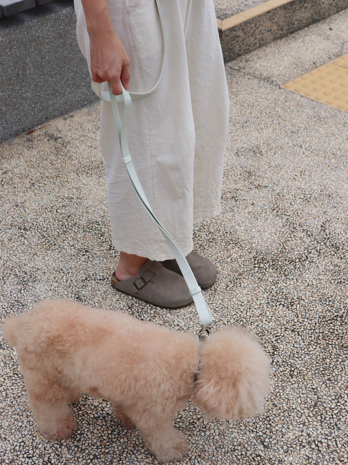 Daily Walking System (Collar)