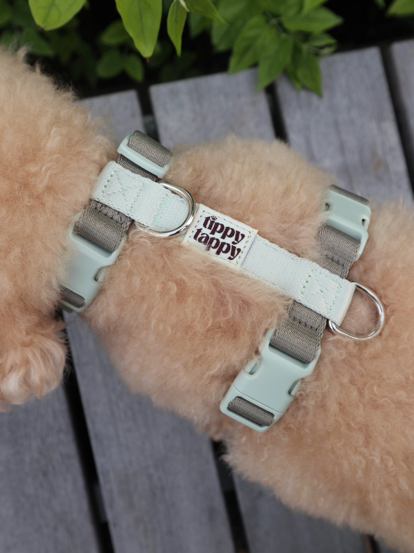 H-Harness