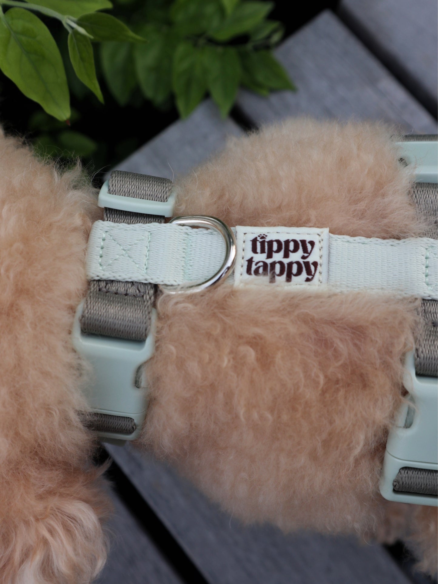 H-Harness
