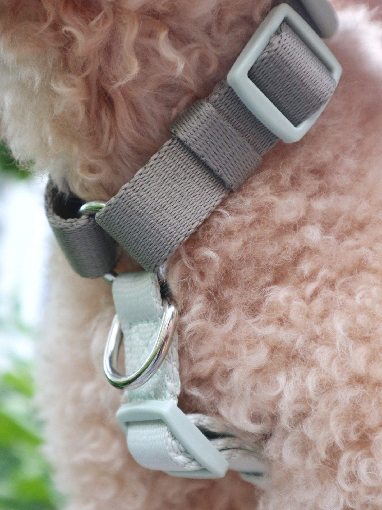 H-Harness