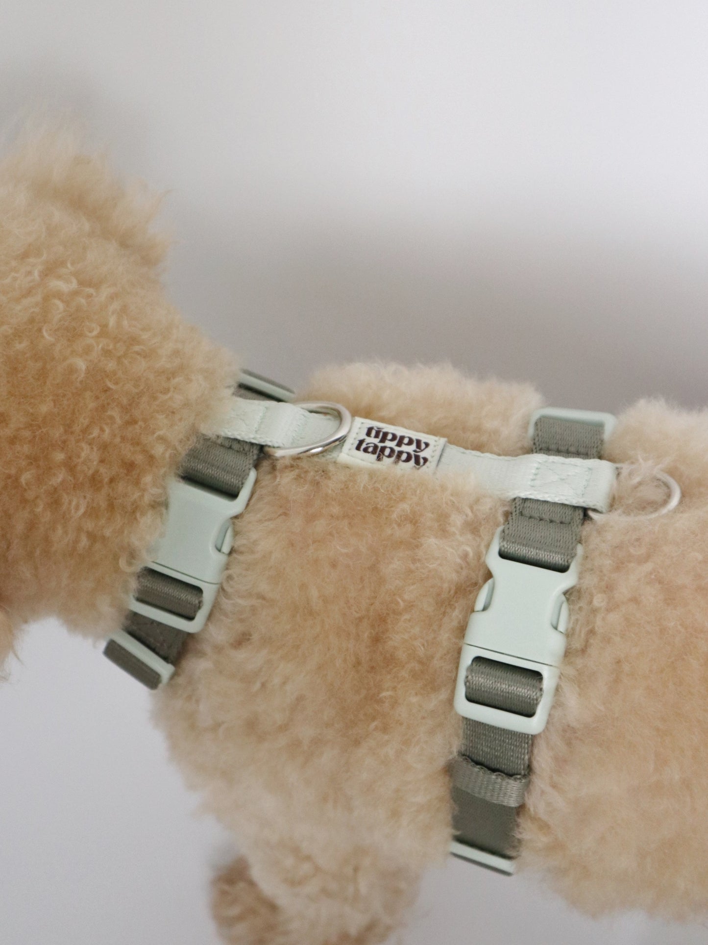 H-Harness