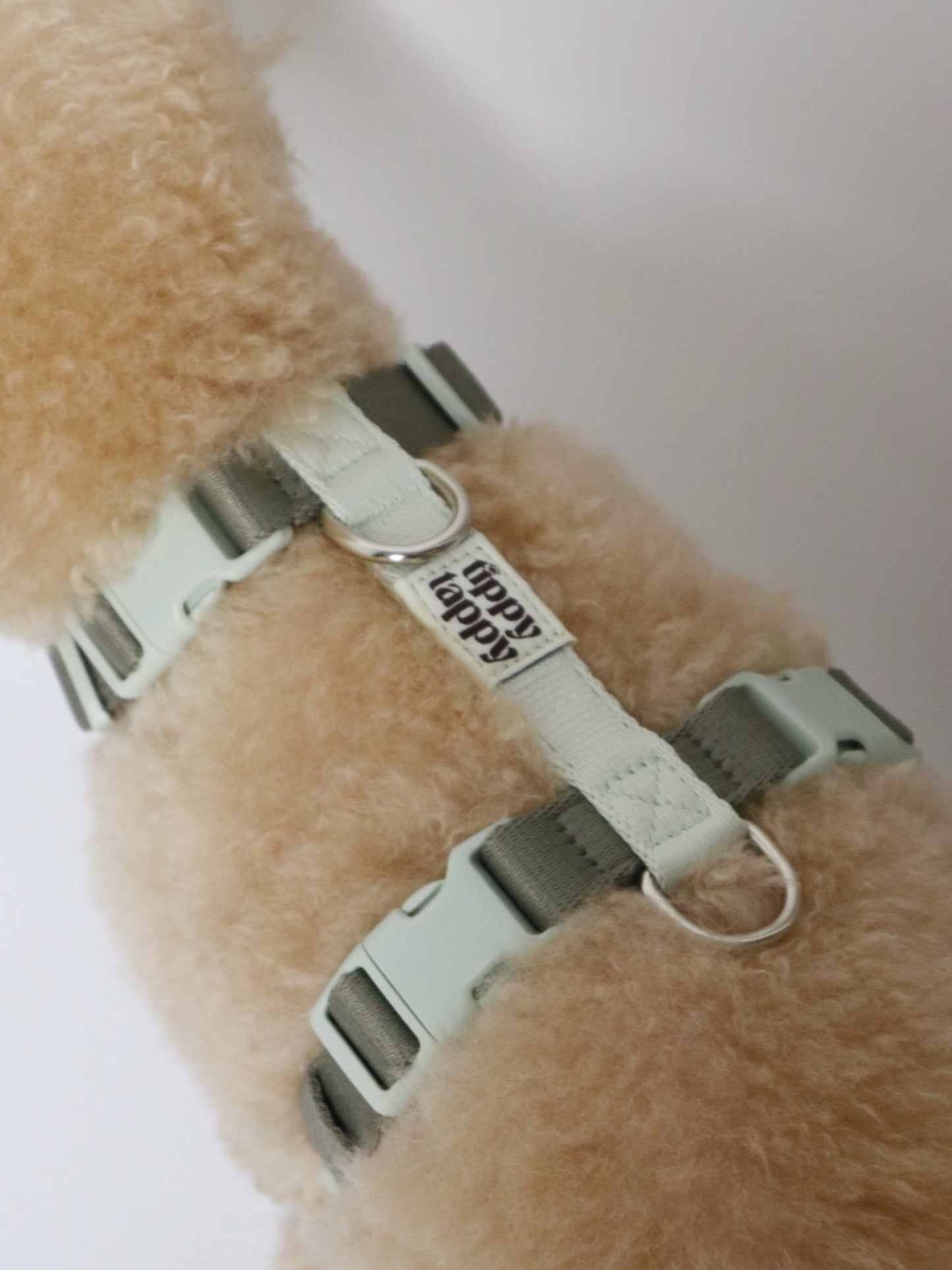 H-Harness
