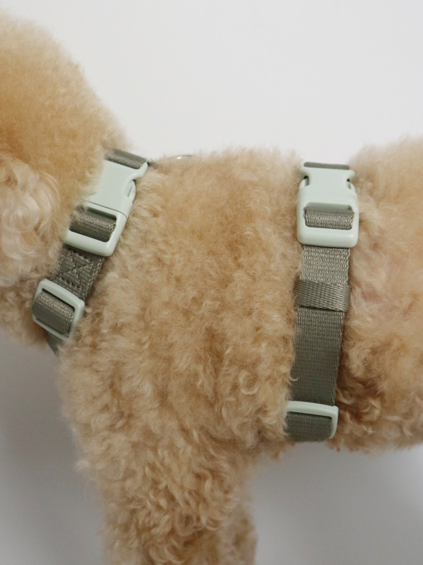 H-Harness