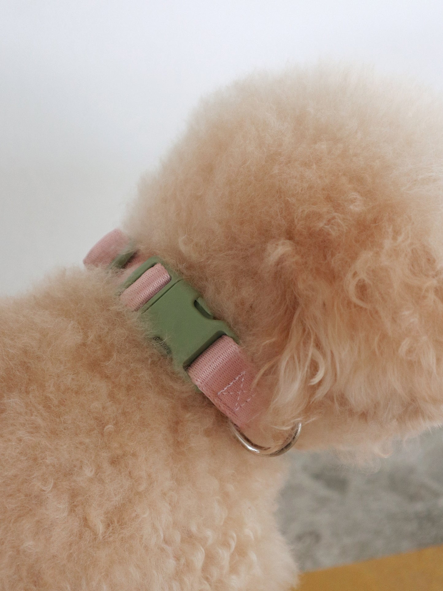 Collar