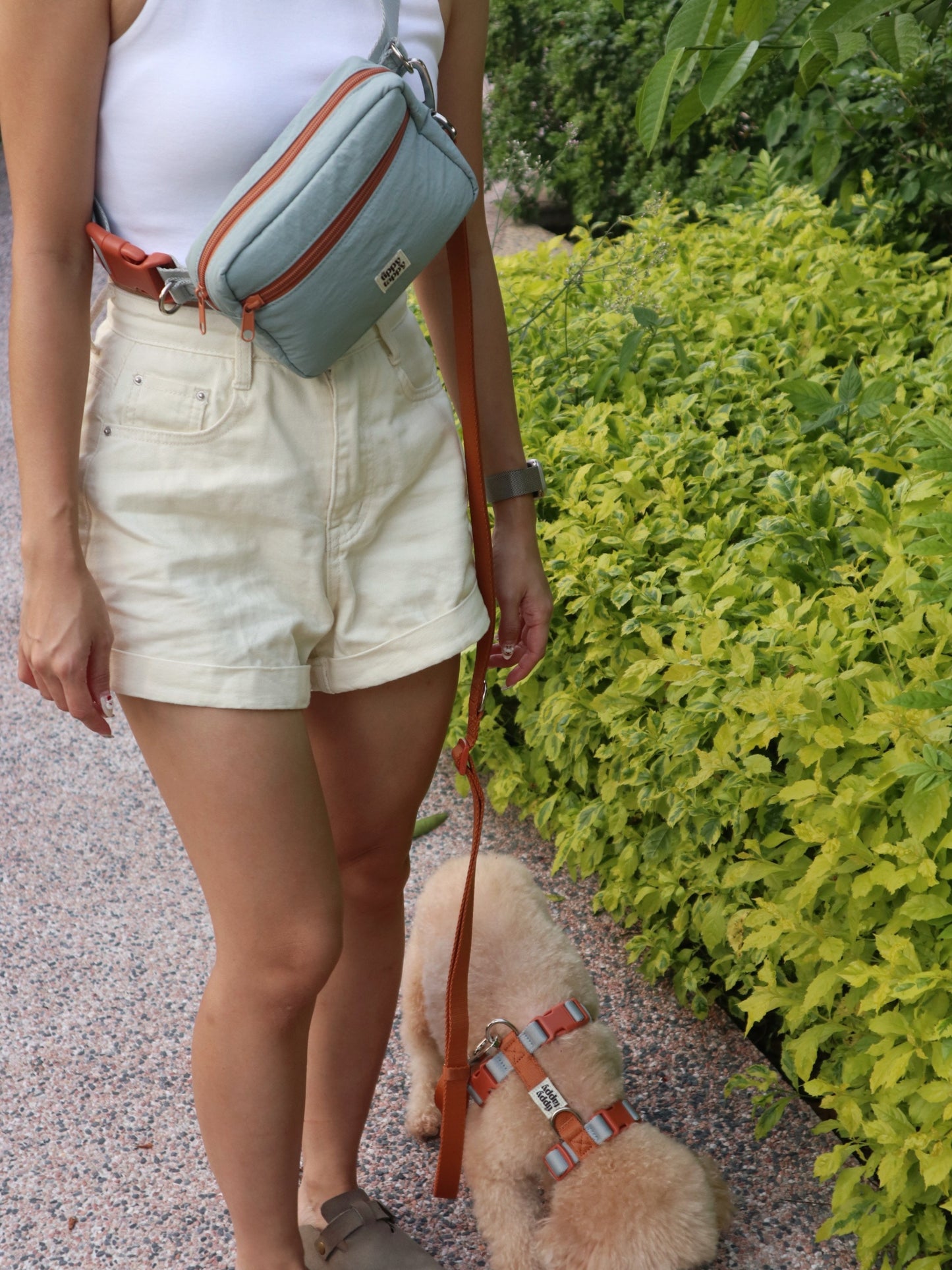 Daily Walking System (H-Harness)