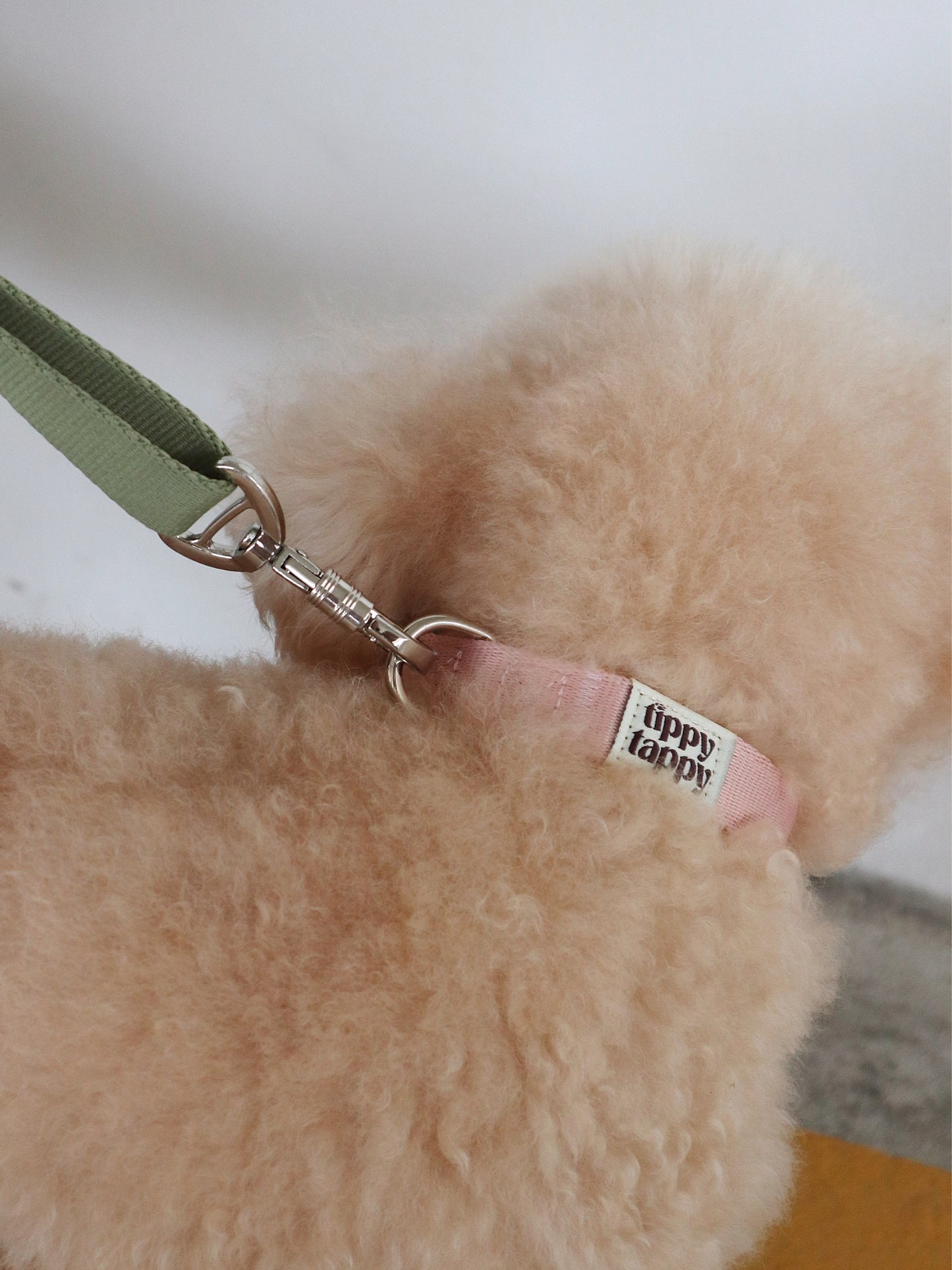 Collar