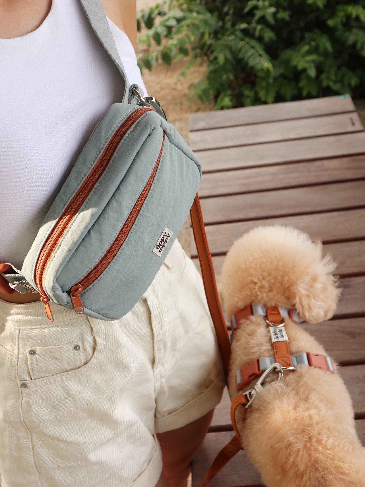 Daily Walking System (H-Harness)