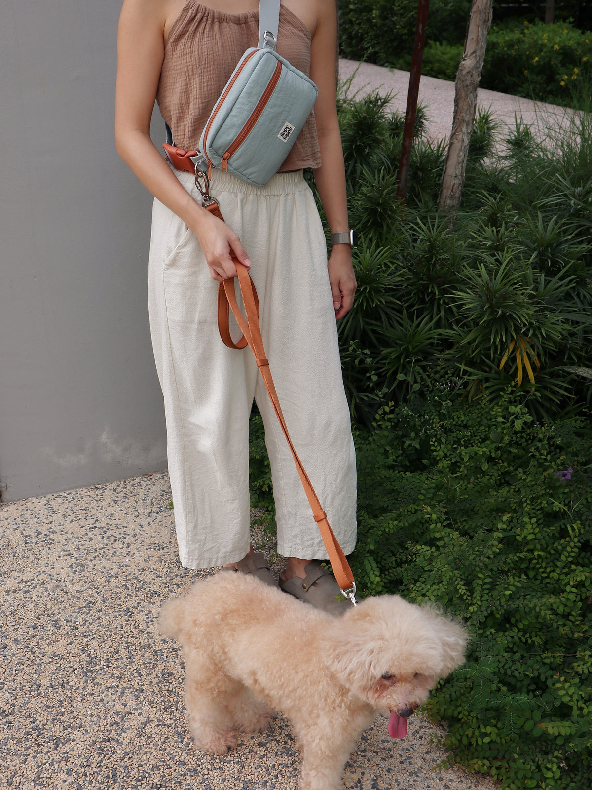 Daily Walking System (Collar)
