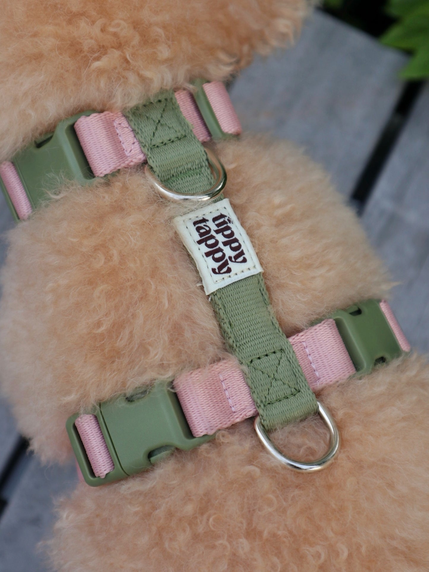 H-Harness