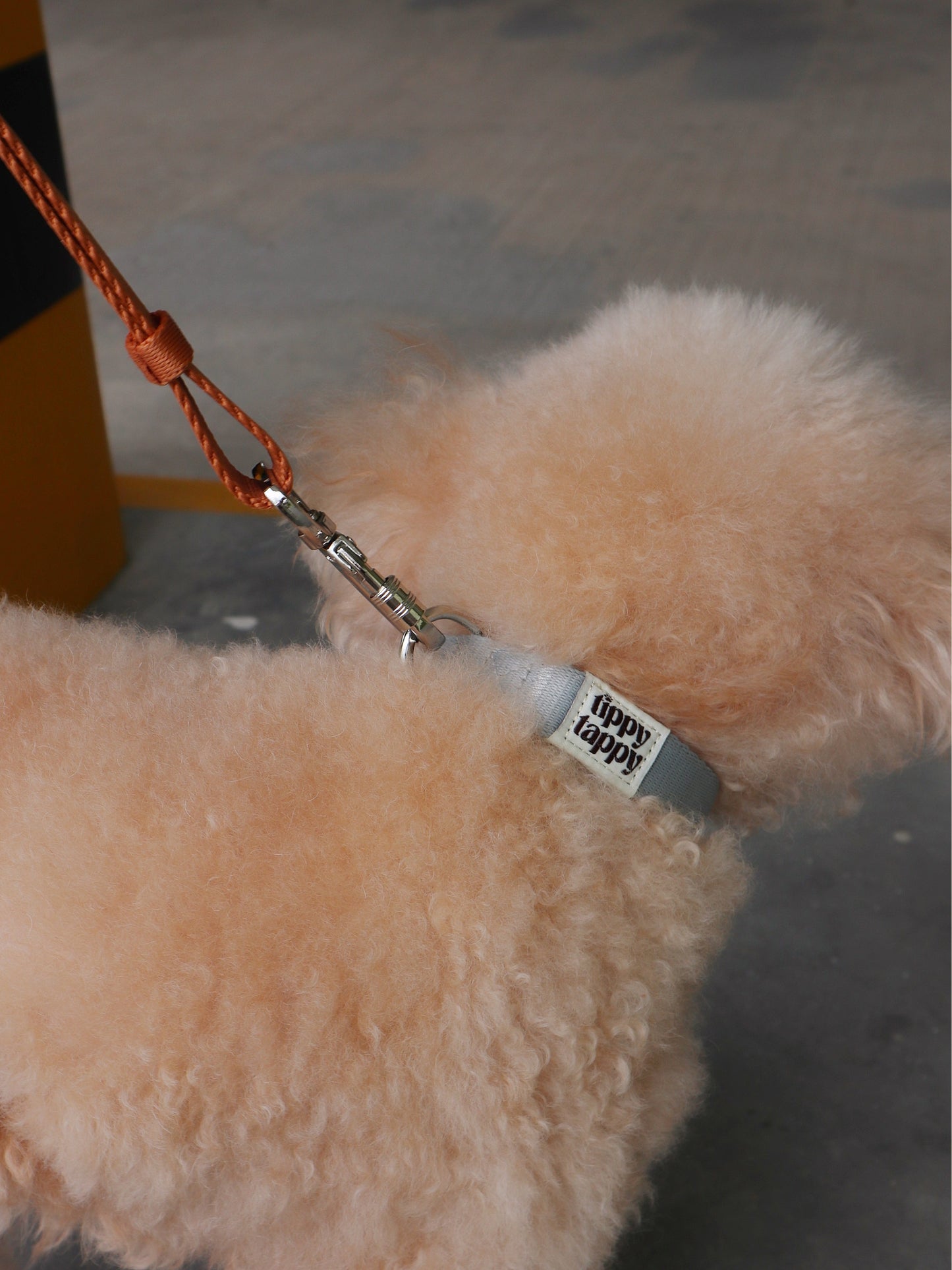 Collar