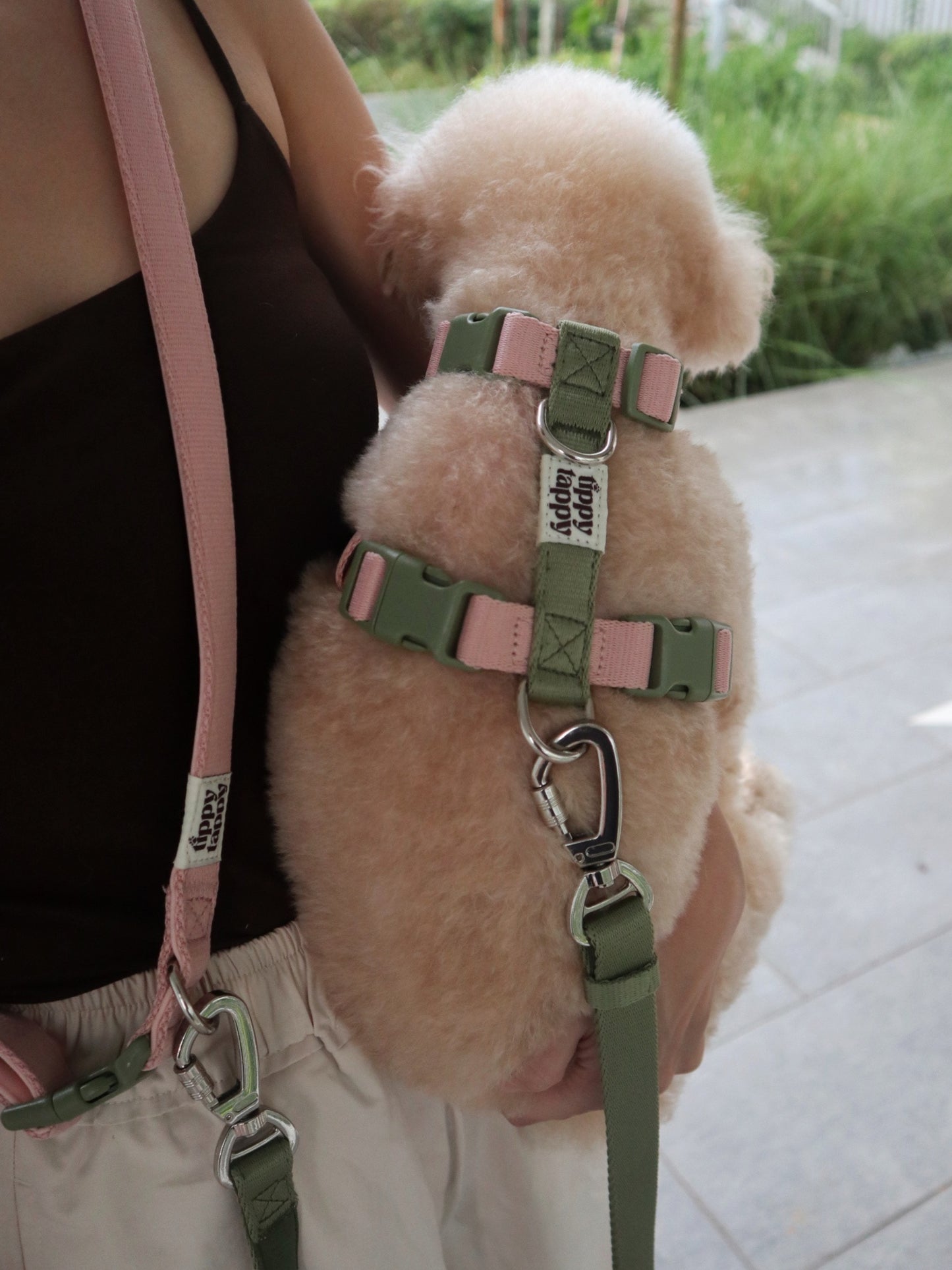 Tali Anjing Bebas Tangan