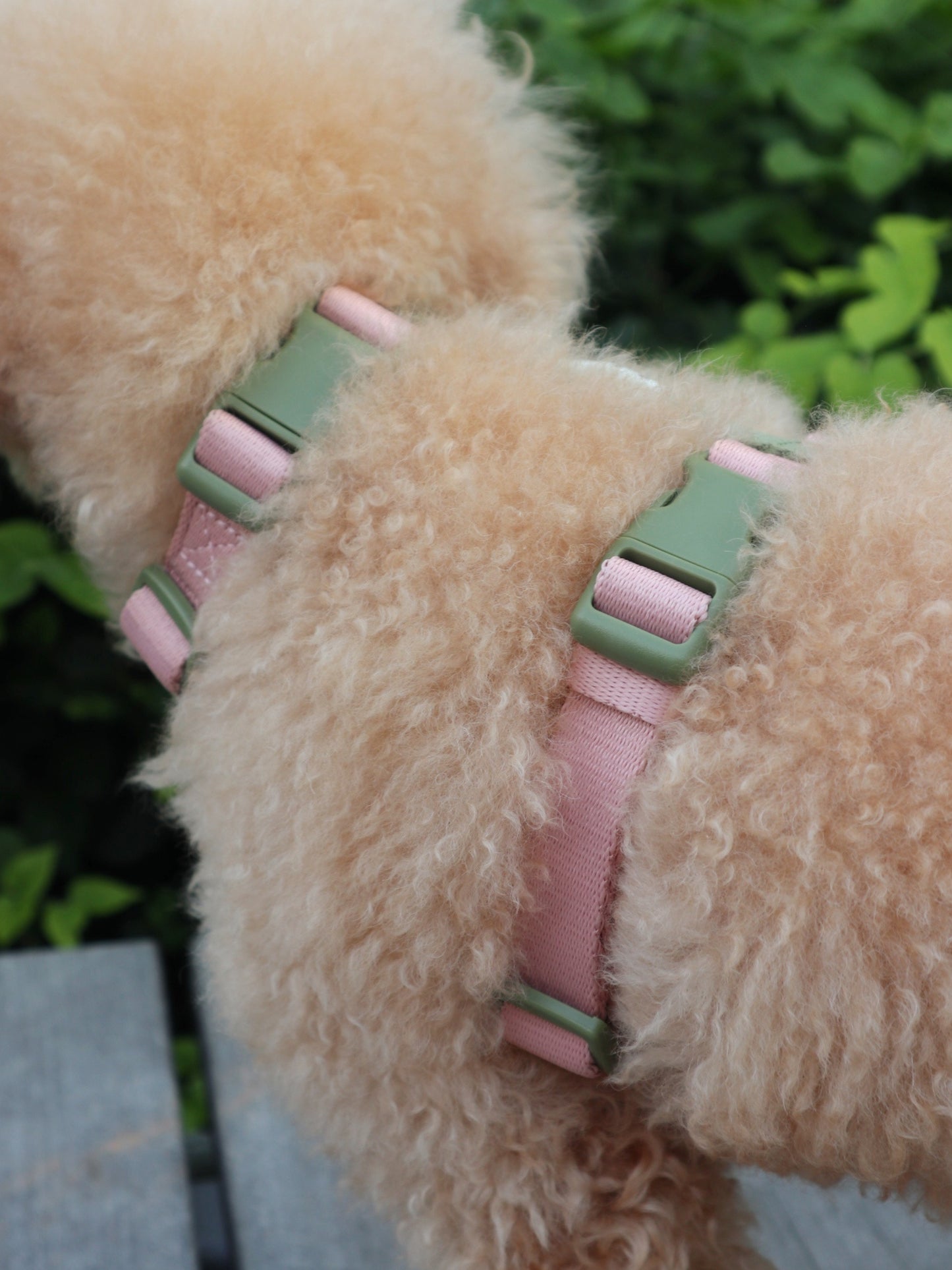H-Harness