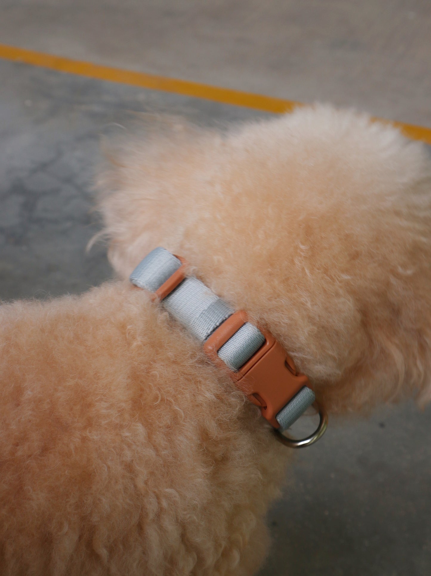 Collar