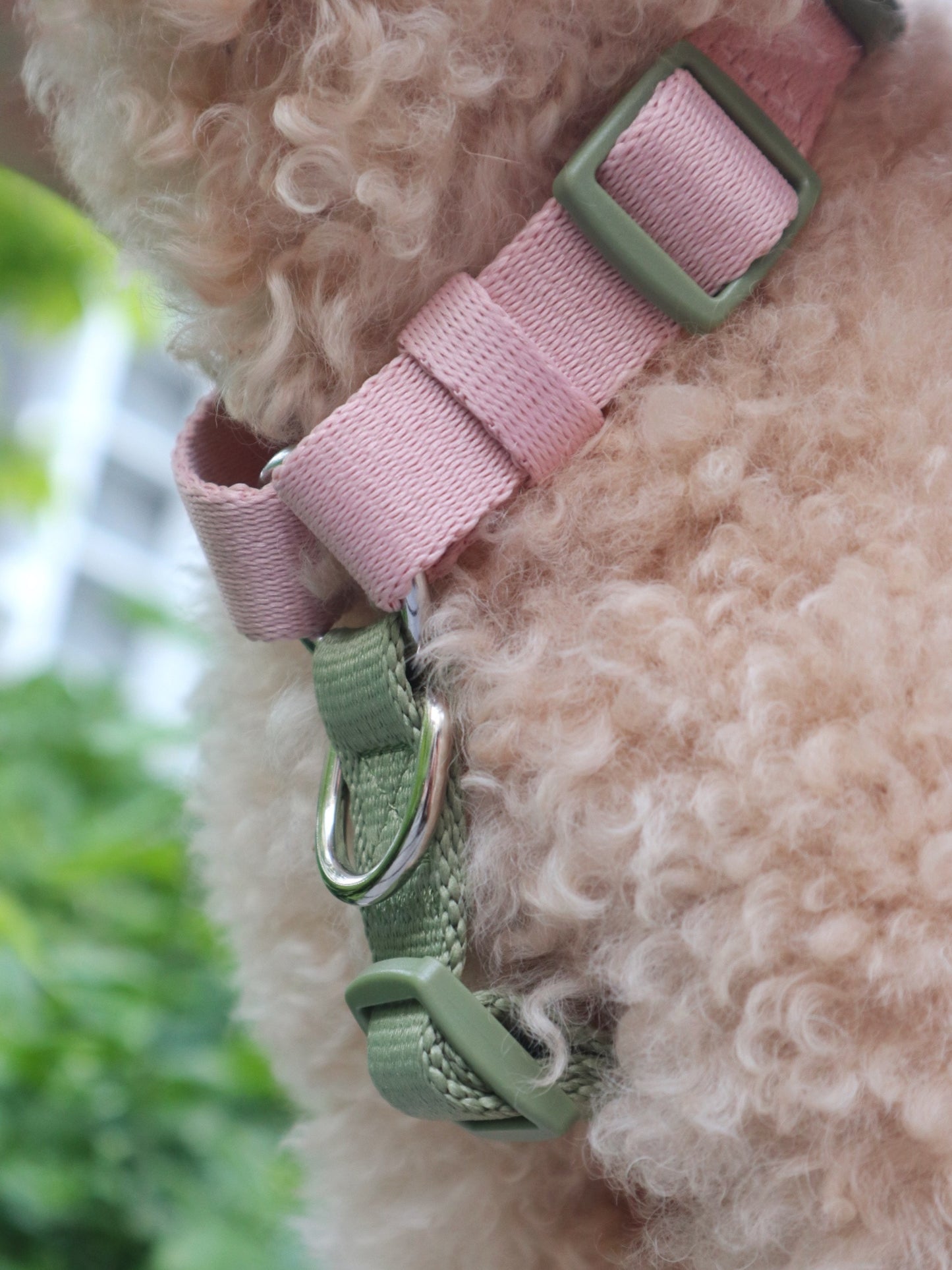 H-Harness