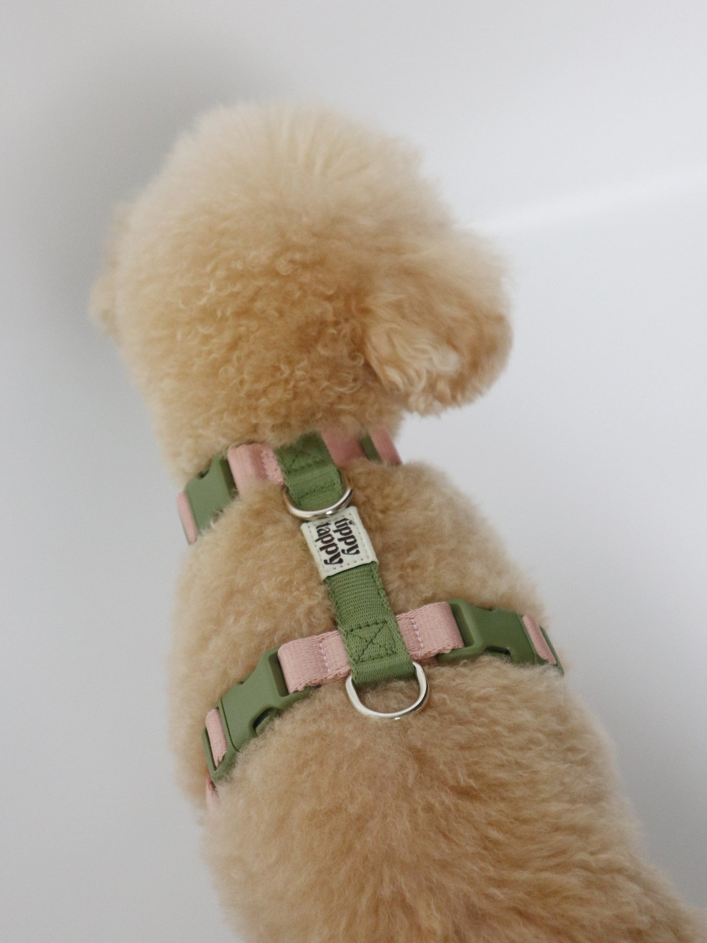H-Harness