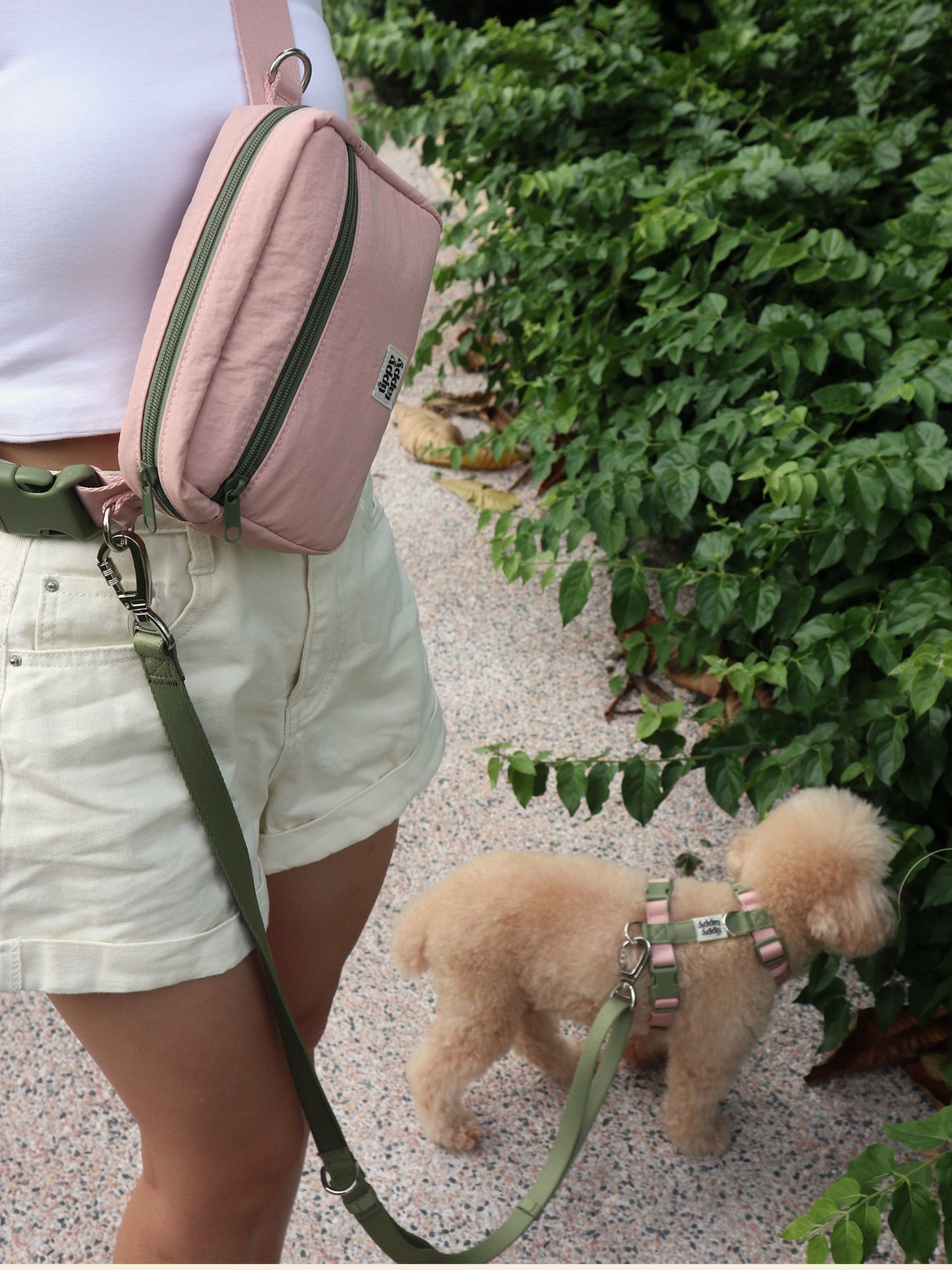 Daily Walking System (H-Harness)
