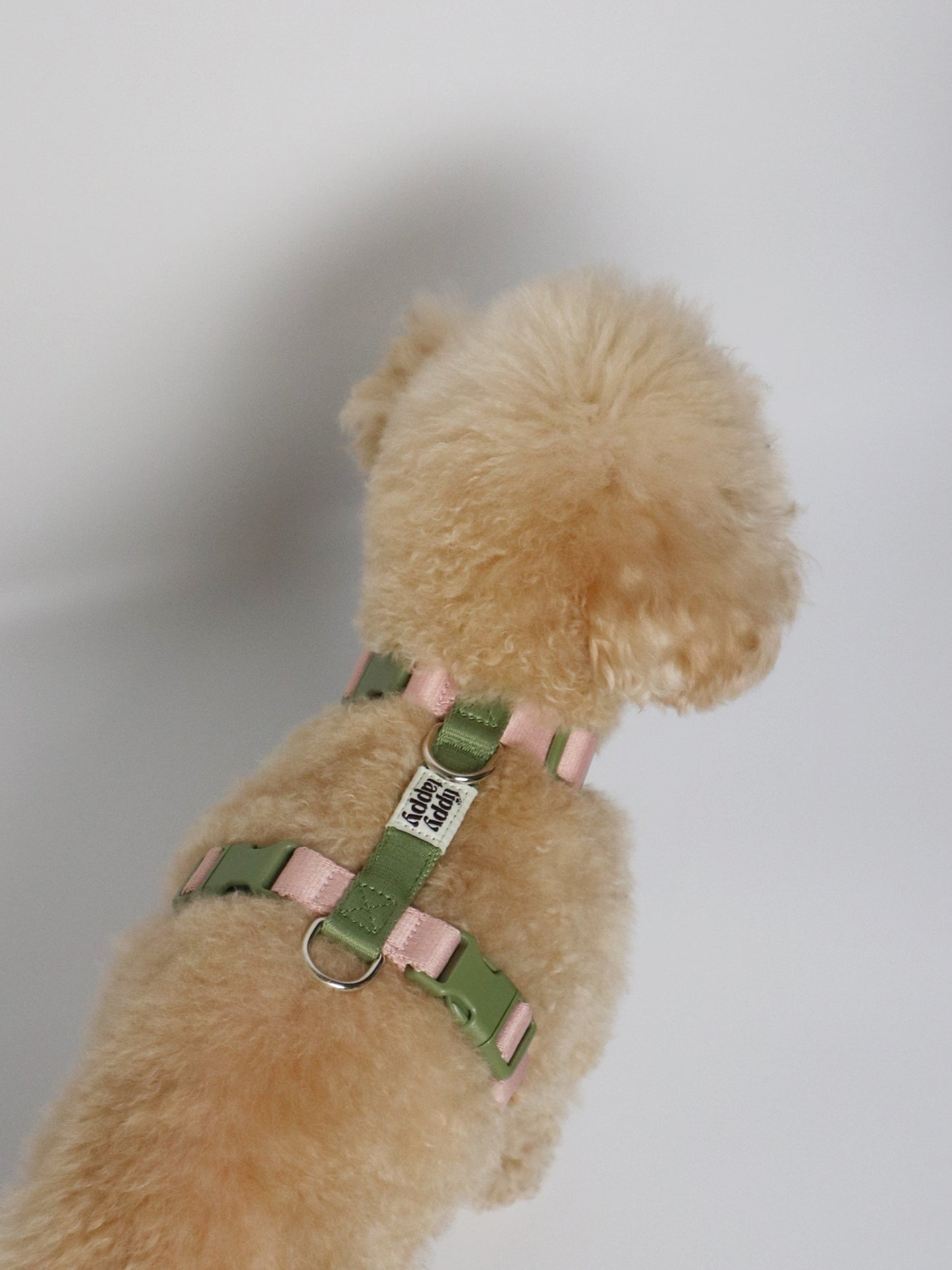 H-Harness