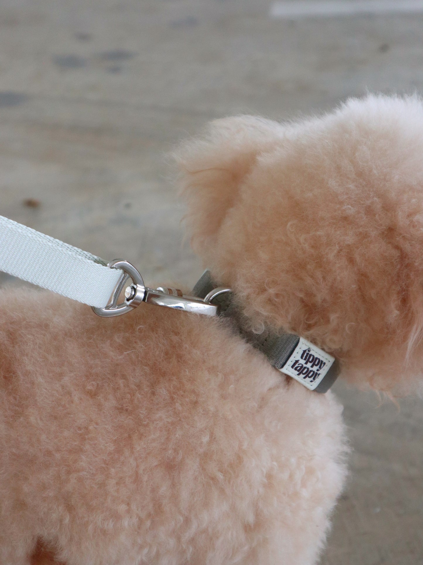 Collar